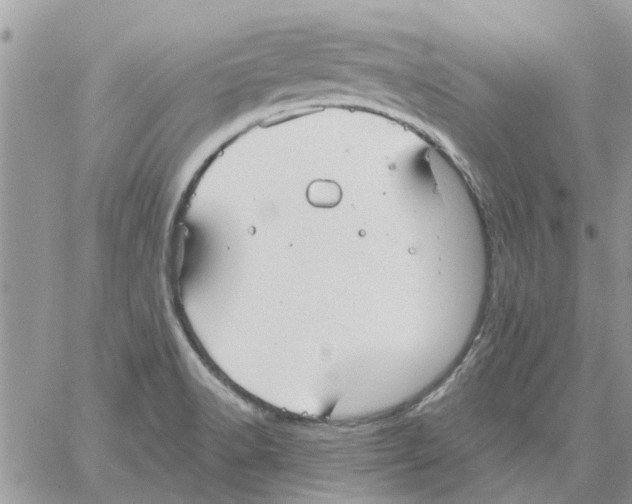 X0000061751518200512302224