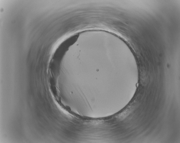 X0000061751519200512302224