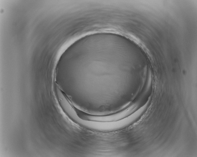 X0000061751520200512302224