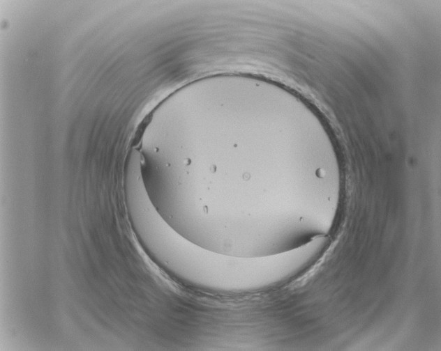 X0000061751521200512302224