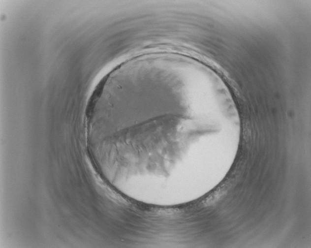 X0000061751522200512302224