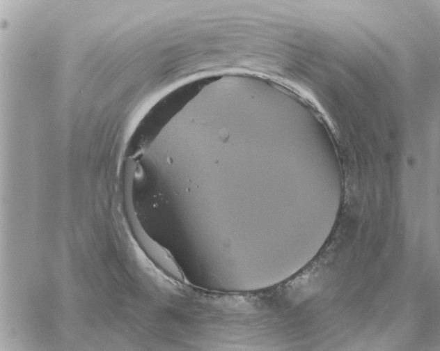 X0000061751524200512302224