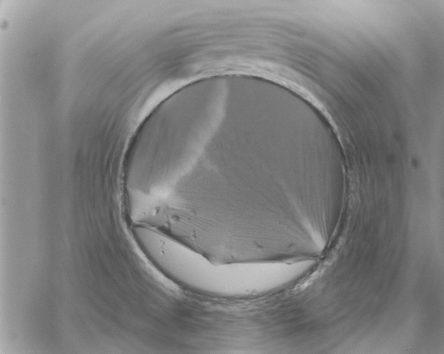 X0000061751525200512302224