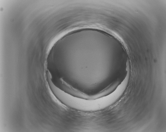 X0000061751528200512302224