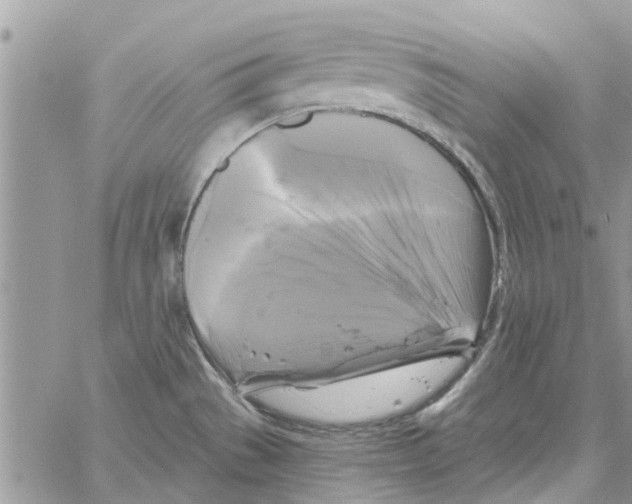 X0000061751529200512302224