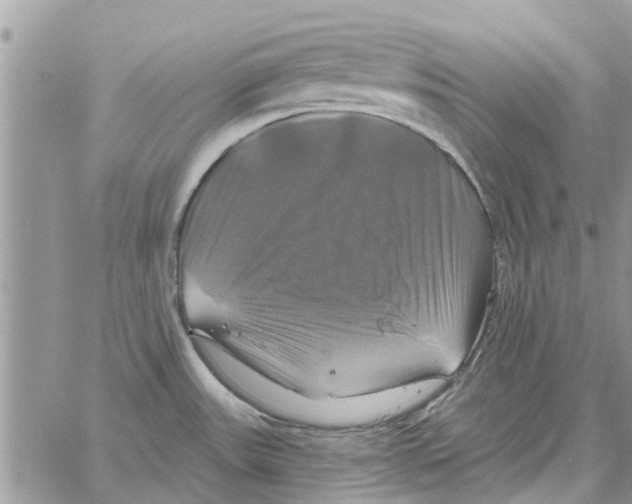 X0000061751531200512302224