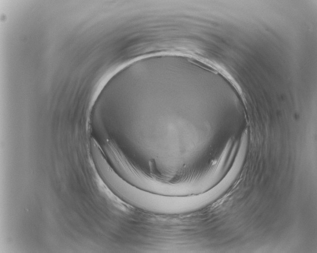 X0000061751532200512302224