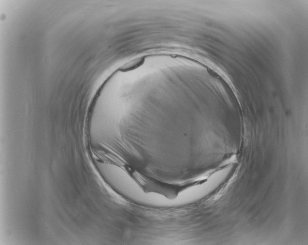 X0000061751533200512302224