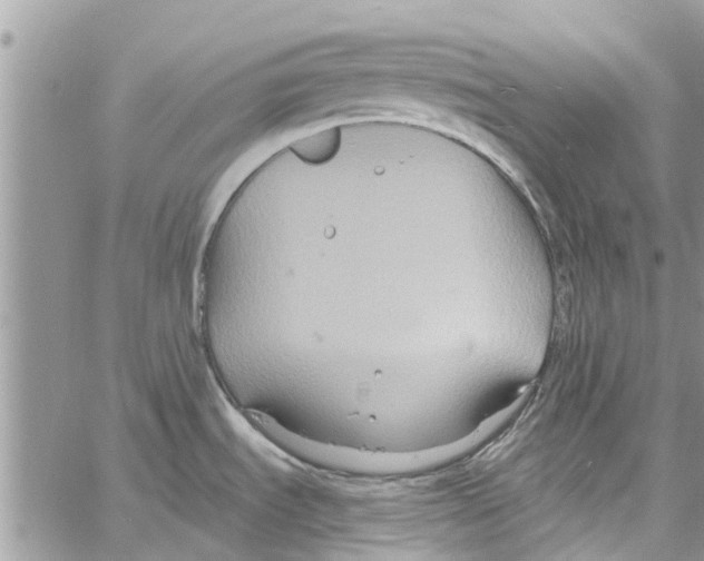 X0000061751535200512302224