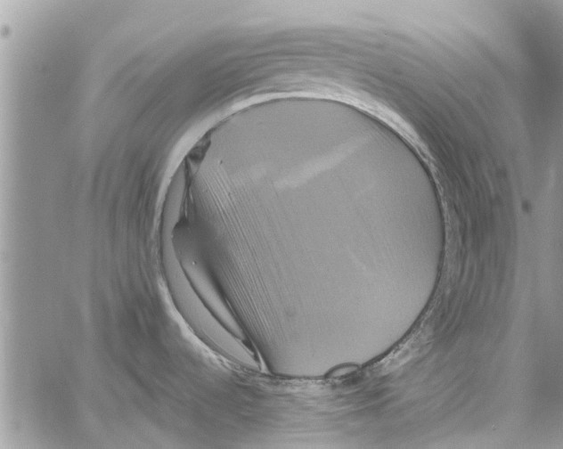 X0000061751536200512302224