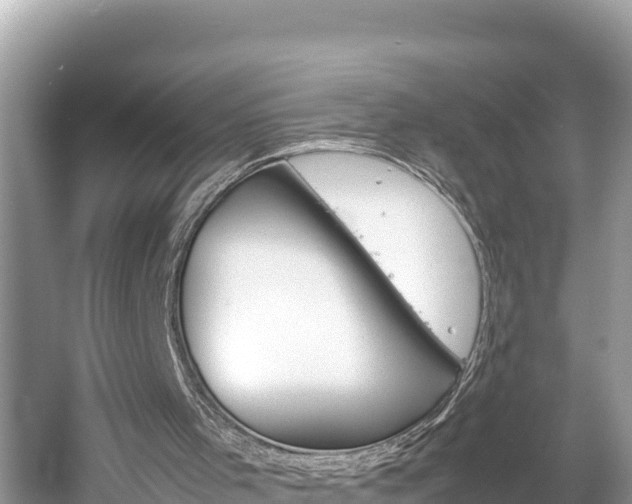 X0000061760001200512021151