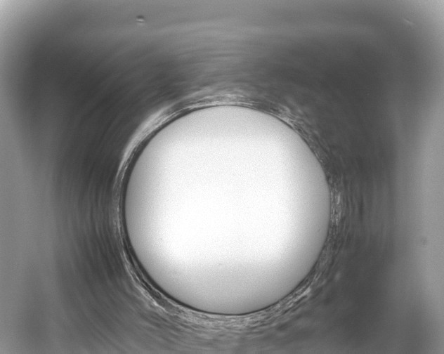 X0000061760004200512021151