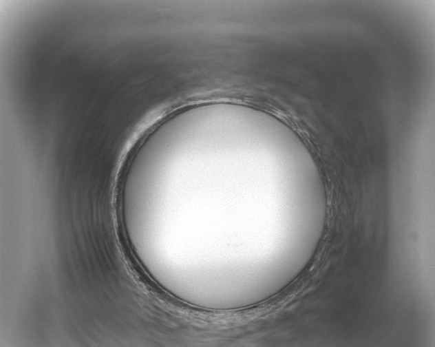 X0000061760006200512021151