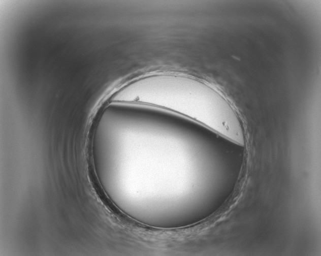X0000061760007200512021151