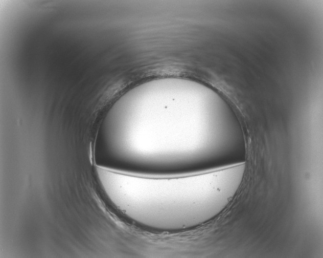 X0000061760013200512021151