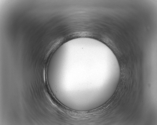 X0000061760014200512021151