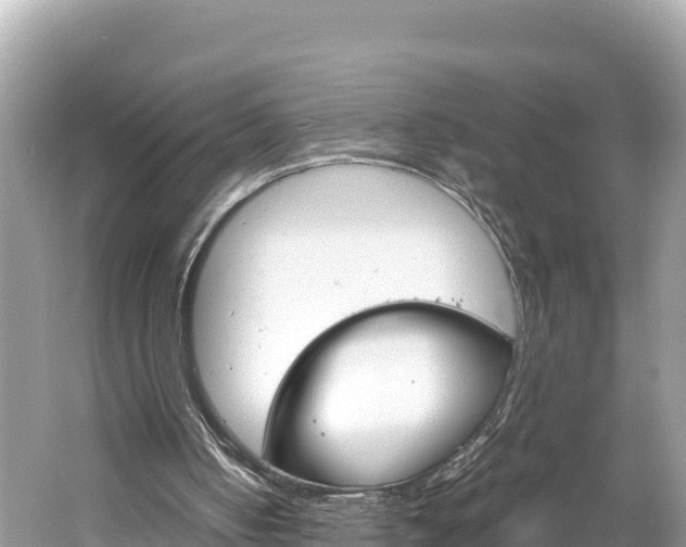 X0000061760050200512021149
