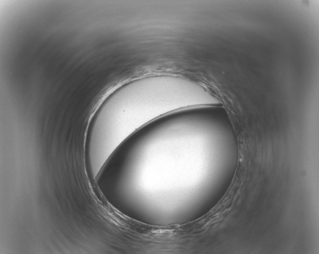 X0000061760052200512021149
