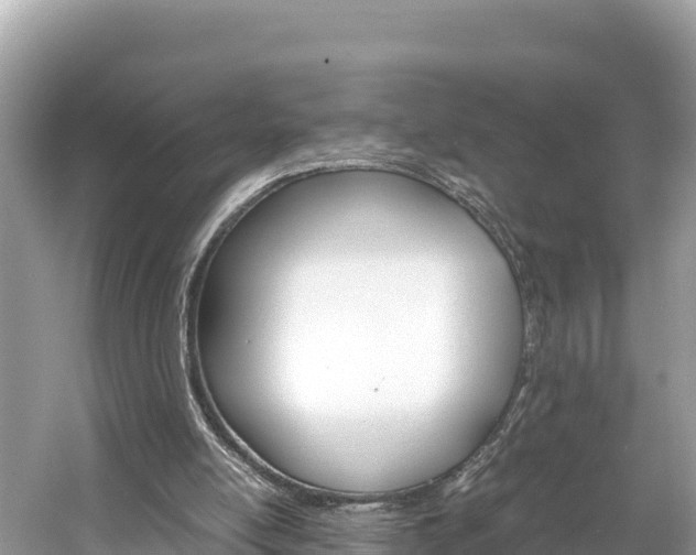 X0000061760054200512021149