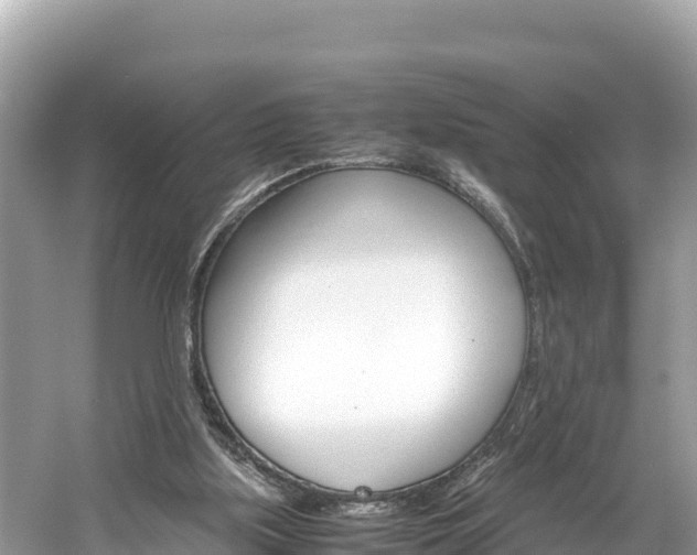 X0000061760059200512021149