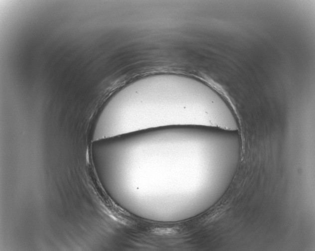X0000061760061200512021149