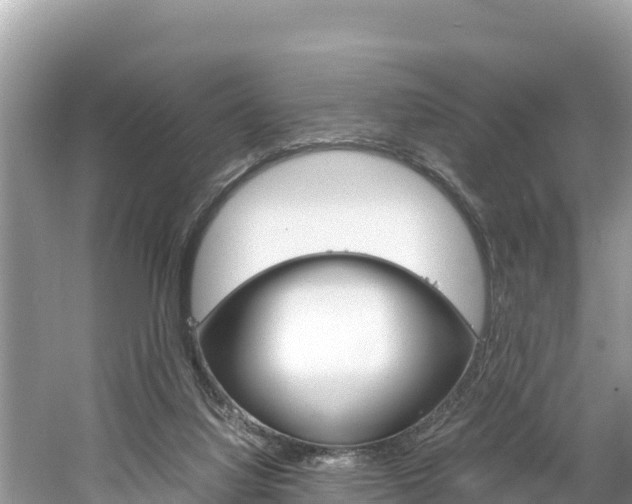 X0000061760068200512021150