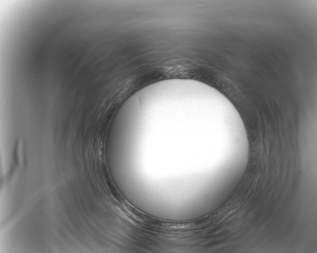 X0000061760081200512021150