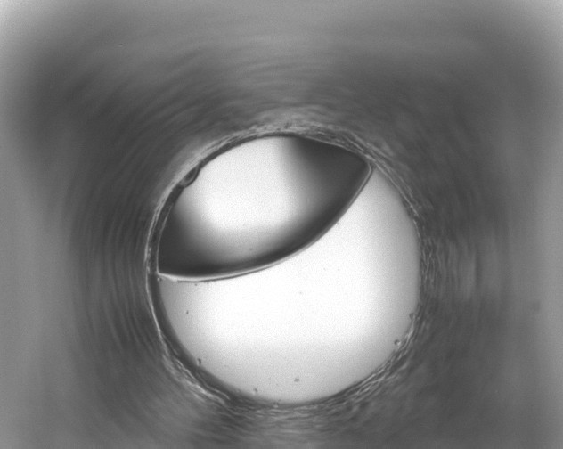 X0000061760100200512021149