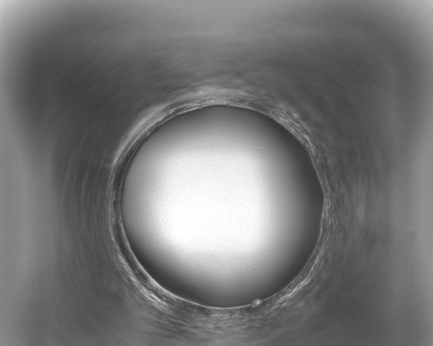 X0000061760101200512021149