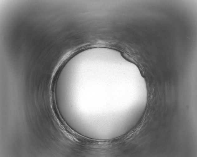 X0000061760102200512021149
