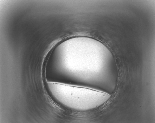 X0000061760104200512021149