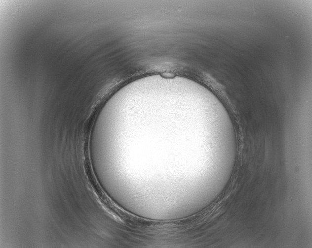 X0000061760106200512021149
