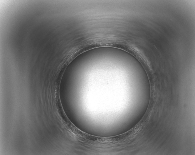 X0000061760113200512021149