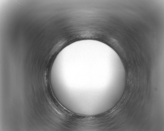 X0000061760116200512021149