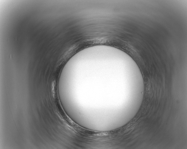 X0000061760118200512021149