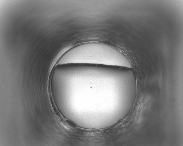 X0000061760147200512021148
