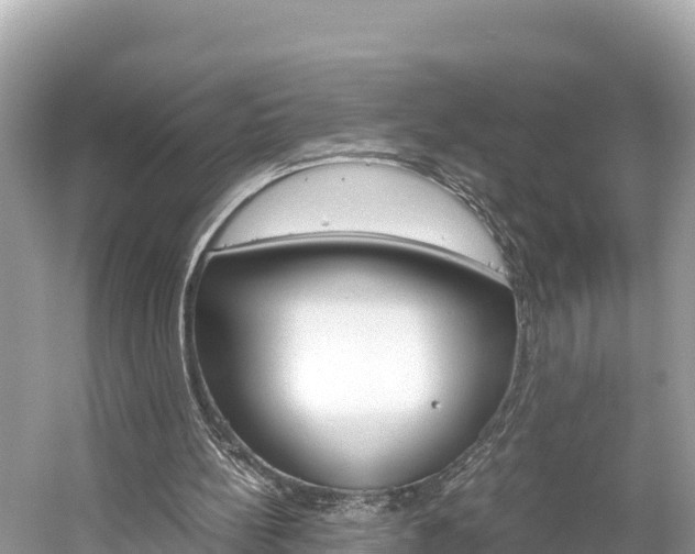 X0000061760148200512021148