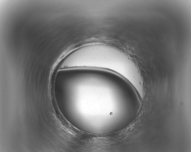 X0000061760150200512021148