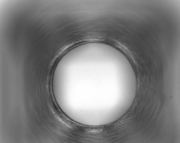 X0000061760155200512021148