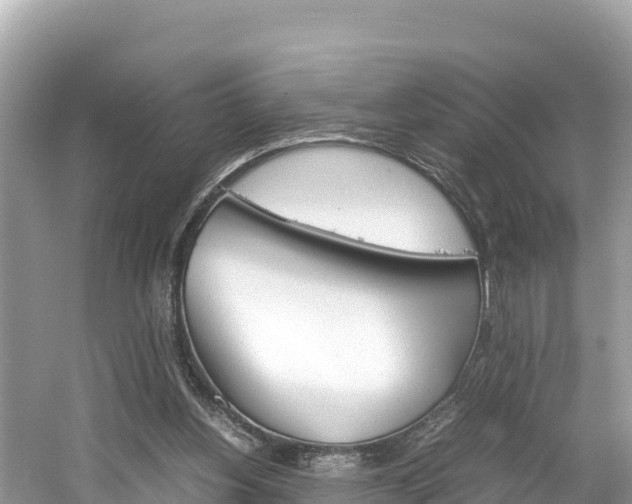 X0000061760156200512021148