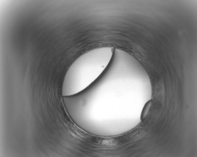 X0000061760173200512021148