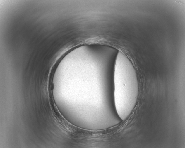 X0000061760196200512021147