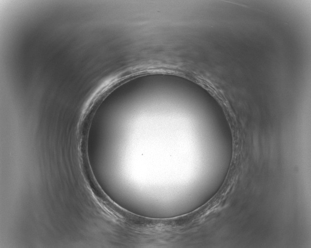 X0000061760197200512021147