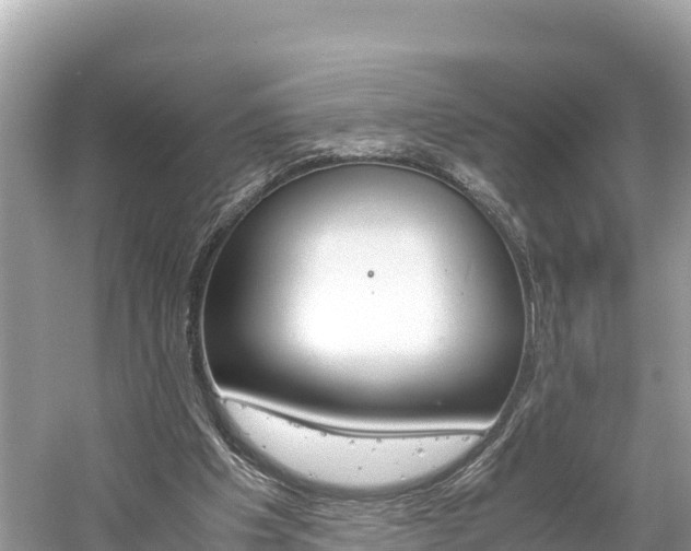 X0000061760201200512021147