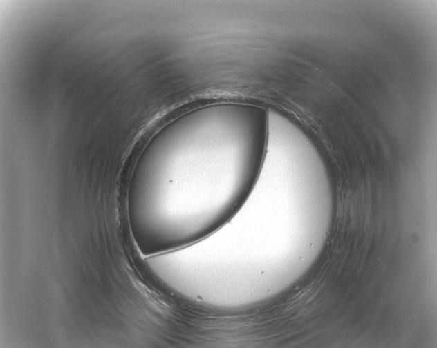 X0000061760204200512021147