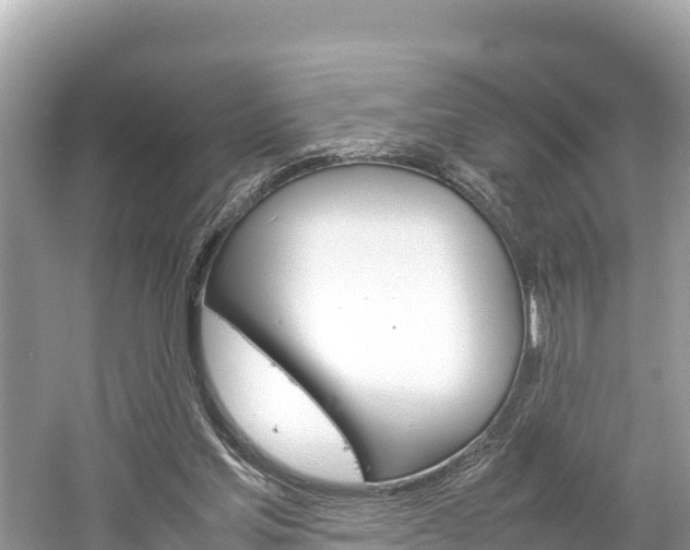X0000061760205200512021147