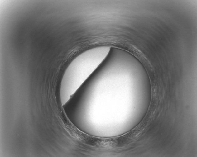 X0000061760209200512021147