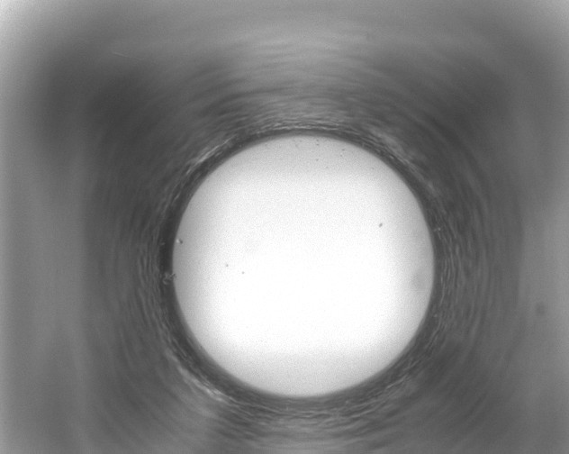 X0000061760211200512021147