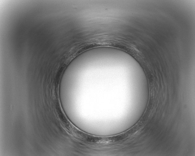 X0000061760213200512021147
