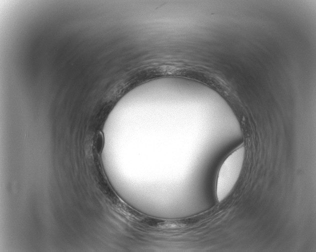 X0000061760221200512021147